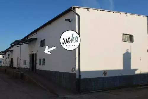 Halle250
