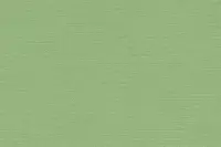 Efalin 152 FL