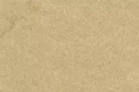 ElefantenhautChamois