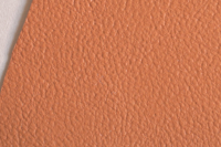 ZNS 313 natur