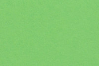 Jupiterkarton hellgrün
